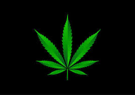Cosmic Botanica Logo